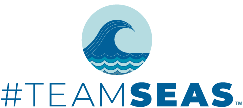 TeamSeas logo