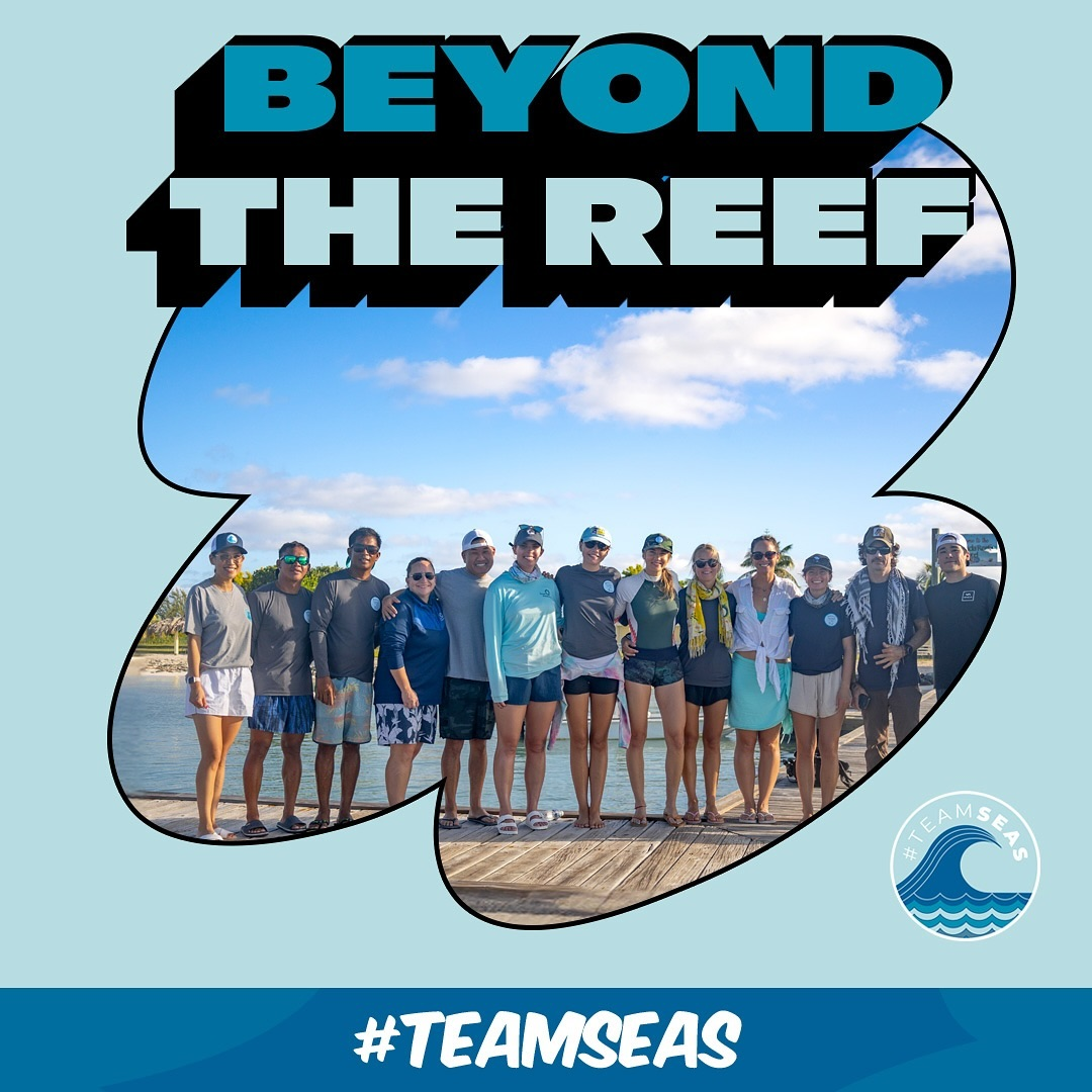  TeamSeas